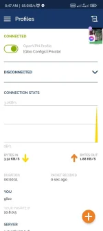 Screenshot_2022-07-06-08-47-33-476_net.openvpn.openvpn.webp