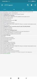 Screenshot_2022-07-06-09-45-26-343_com.evozi.injector.webp