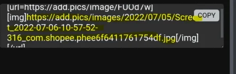 1657077535129.webp