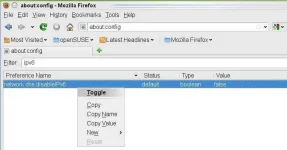 Firefox_IPv6_filter_toggle.webp