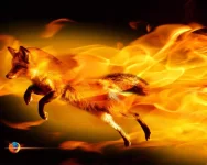 mozilla-firefox-addons-real-fire-fox.webp mozilla-firefox-addons-real-fire-fox.webp