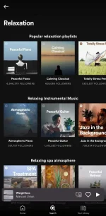 Screenshot_20220706-231927_Spotify.webp