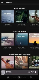 Screenshot_20220706-231941_Spotify.webp