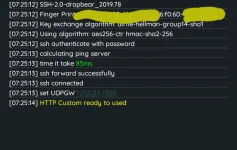 Screenshot_20220707-072707_HTTP Custom.webp Screenshot_20220707-072707_HTTP Custom.webp