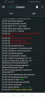 Screenshot_20220707_163030_xyz.easypro.httpcustom.webp