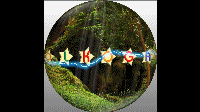 Forest Example.gif