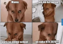 1657258778522.webp