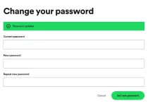 SS-spotify.webp
