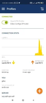 Screenshot_2022-07-10-03-23-17-064_net.openvpn.openvpn.webp