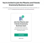 Grammarly - Brave.webp