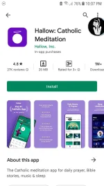 Screenshot_20220710-220729_Google Play Store.webp