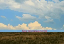 flat-1657473520038.webp