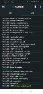 Screenshot_20220712_160705_xyz.easypro.httpcustom.webp