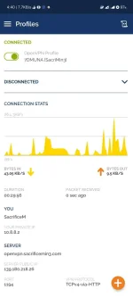 Screenshot_2022-07-13-04-40-27-238_net.openvpn.openvpn.webp