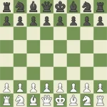 1657803442704.webp