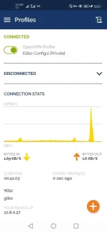 Screenshot_20220717_005049_net.openvpn.openvpn.webp