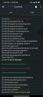 Screenshot_2022-07-20-01-39-17-952_xyz.easypro.httpcustom.webp