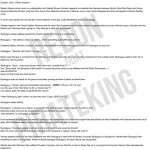 FB_IMG_1658266266418.webp