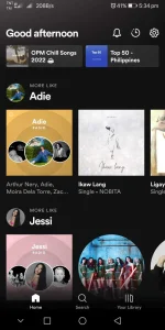 Screenshot_20220721_173429_com.spotify.music.webp Screenshot_20220721_173429_com.spotify.music.webp