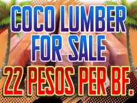 COCOLUMBER copy.webp