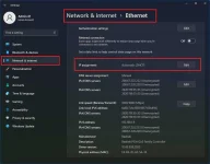 net1.jpg
