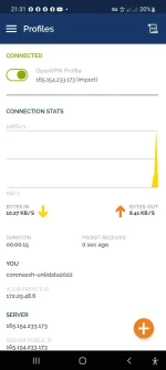 Screenshot_20220722-213142_OpenVPN Connect.webp Screenshot_20220722-213142_OpenVPN Connect.webp