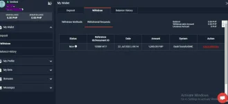 Winzir withdrawal request.webp Winzir withdrawal request.webp