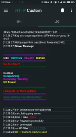 Screenshot_2022-07-23-10-33-10-742_xyz.easypro.httpcustom.webp