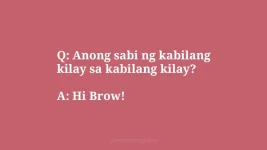 Hi Brow.webp