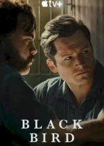 Black-Bird-Cover.webp