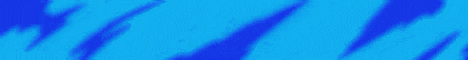 standard (1).gif