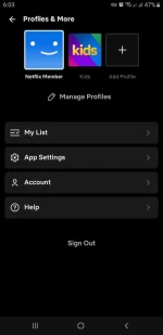 Screenshot_20220726-180309_Netflix.webp