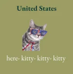 1658994279708.webp