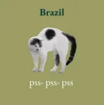 1658994277510.webp
