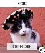 cat-calling-in-different-languages-18-57a4a55d97f01__605.webp