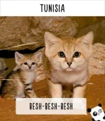 cat-calling-in-different-languages-30-57a4aef7031fa__605.webp