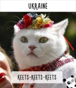 cat-calling-in-different-languages-20-57a4a7ba16016__605.webp