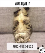 how-people-call-cats-in-australia.webp