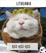 how-people-call-cats-in-different-countries-lithuania.webp