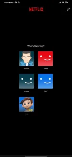 Screenshot_2022-07-28-23-28-21-544_com.netflix.mediaclient.webp