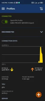 Screenshot_2022-07-29-16-43-27-281_net.openvpn.openvpn.webp