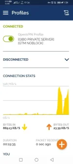 Screenshot_20220730_015429_net.openvpn.openvpn.webp