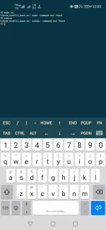 Screenshot_20220730_120335_com.sonelli.juicessh.webp