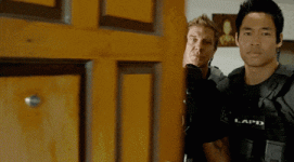 200.gif 200.gif