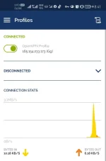 Screenshot_20220730_204140_net.openvpn.openvpn_edit_166706060843311.webp