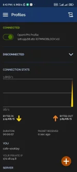 Screenshot_2022-07-31-20-43-19-200_net.openvpn.openvpn.webp