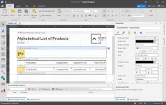 winforms-enduser-report-designer.webp