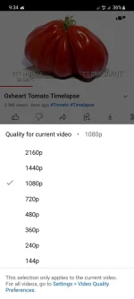 Screenshot_20220801-093414_YøùTùbé.webp