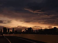 1659318260869.webp