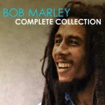 bob.webp
